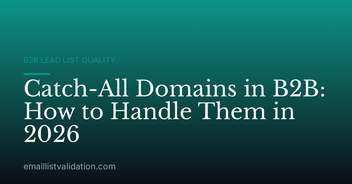 Catch-All Domains in B2B: How to Handle Them in 2026