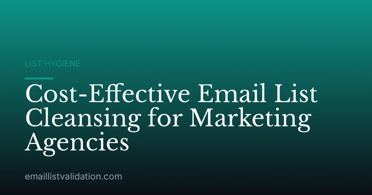 Cost-Effective Email List Cleansing for Marketing Agencies