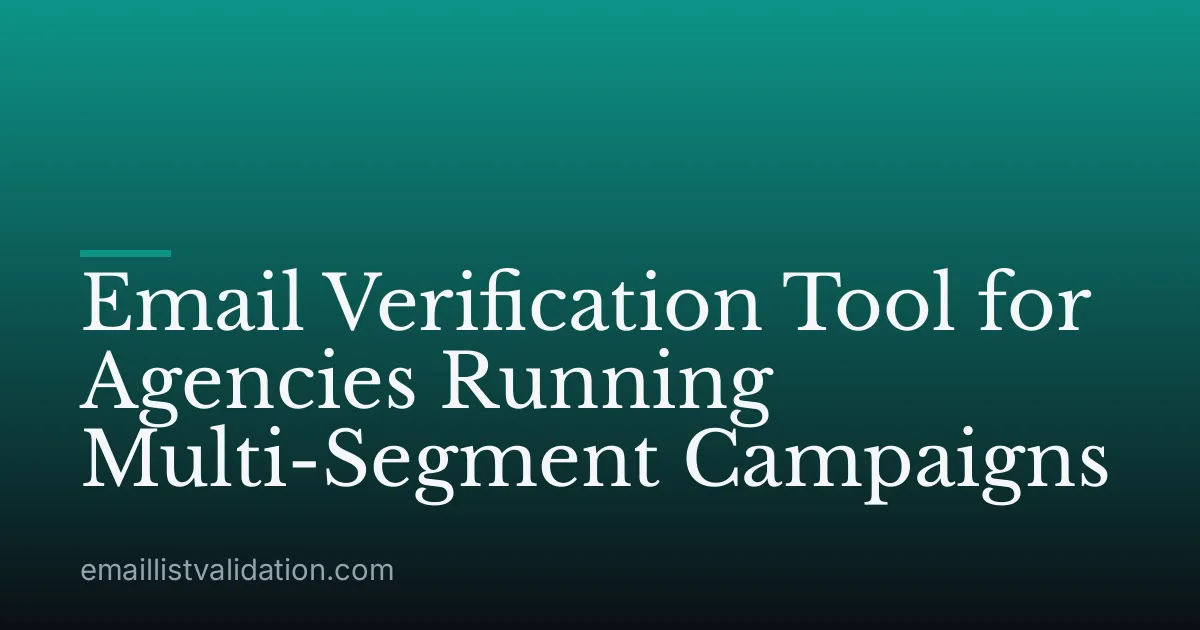Email Verification Tool for Agencies Running Multi-Segment Campaigns