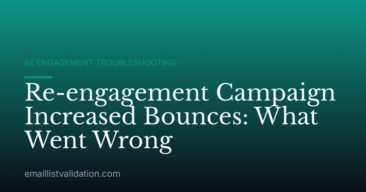 Re-engagement Campaign Increased Bounces: What Went Wrong