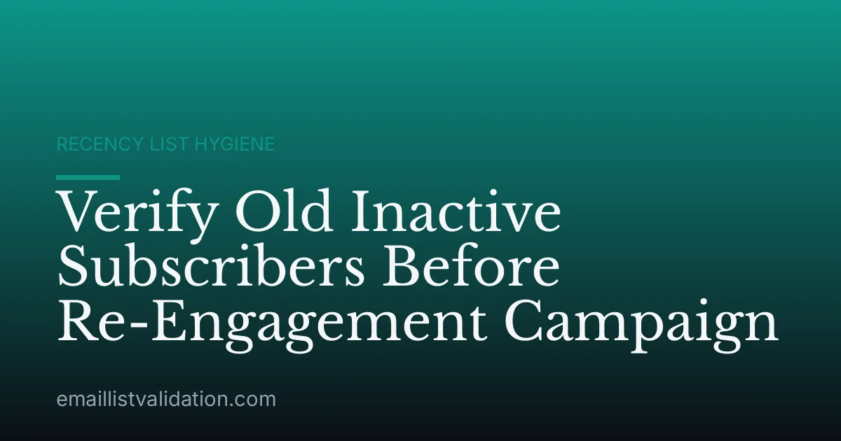 Verify Old Inactive Subscribers Before Re-Engagement Campaign