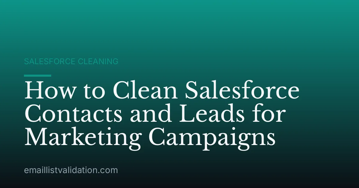 How to Clean Salesforce Contacts and Leads for Marketing Campaigns