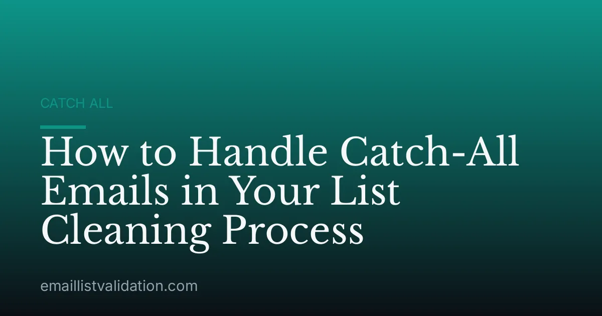 How to Handle Catch-All Emails in Your List Cleaning Process