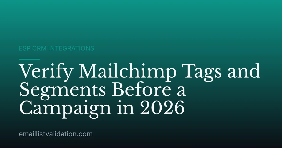 Verify Mailchimp Tags and Segments Before a Campaign in 2026