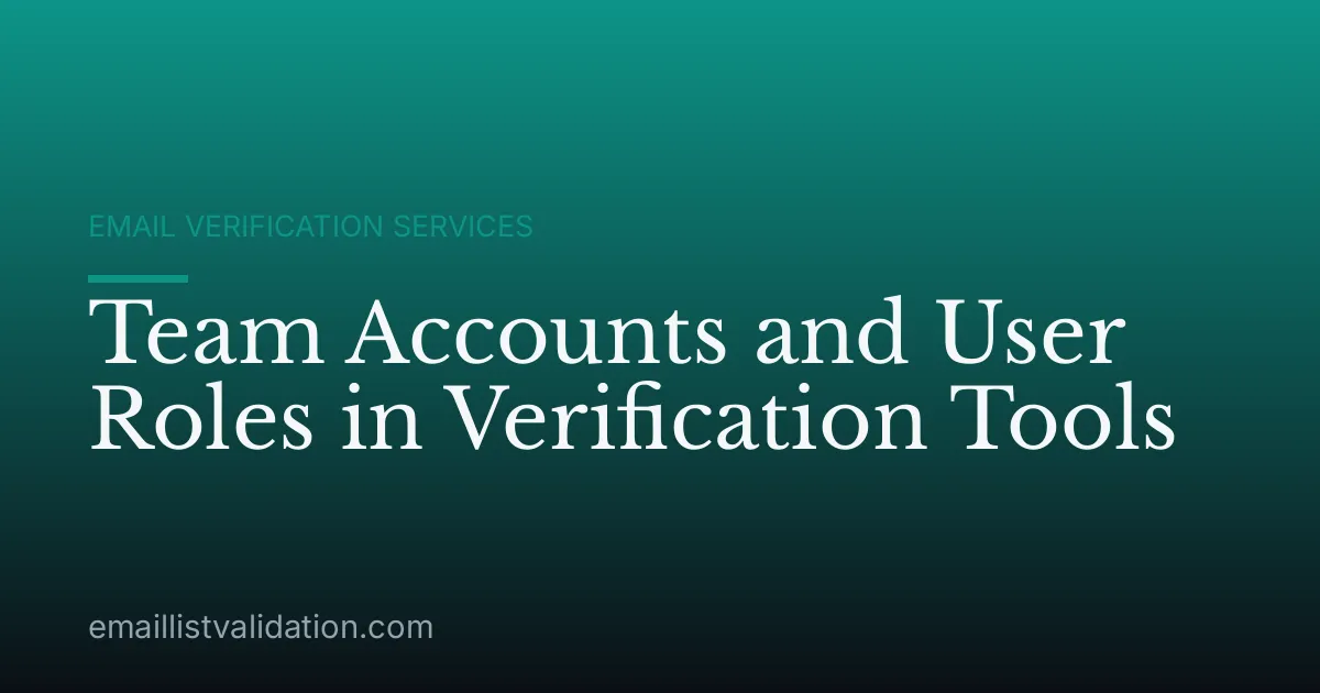 Team Accounts and User Roles in Verification Tools