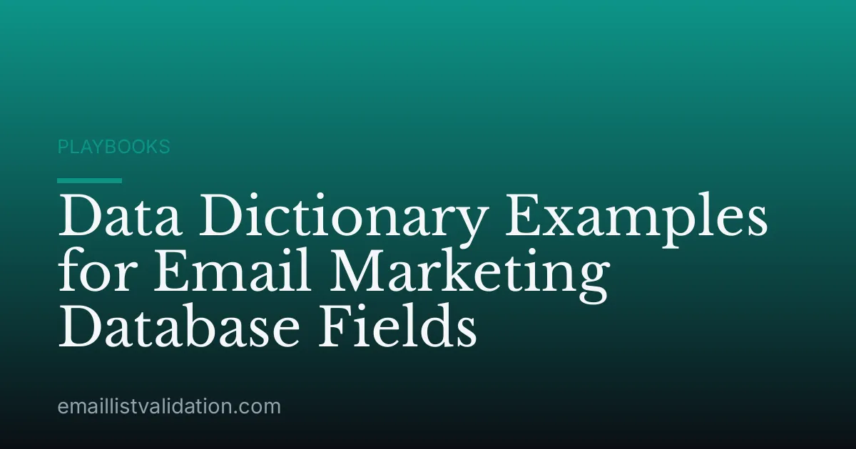 Data Dictionary Examples for Email Marketing Database Fields