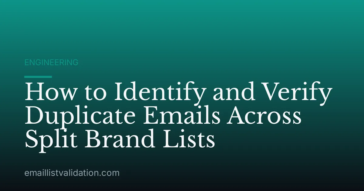 How to Identify and Verify Duplicate Emails Across Split Brand Lists