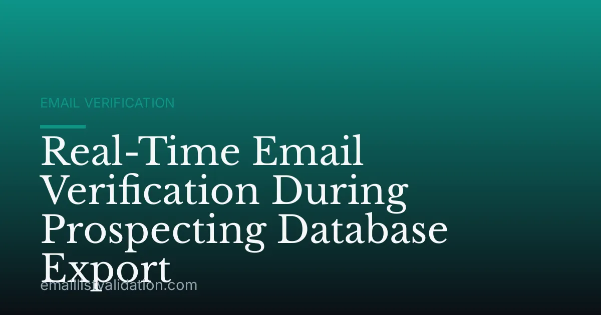 Real-Time Email Verification During Prospecting Database Export