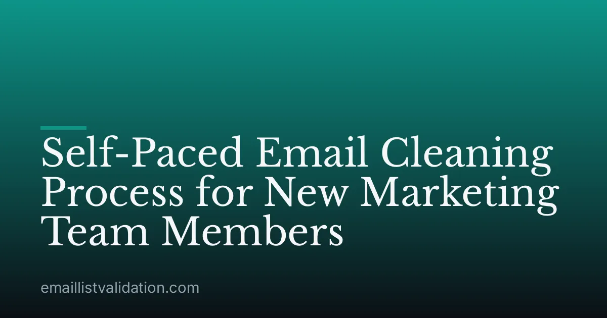 Self-Paced Email Cleaning Process for New Marketing Team Members