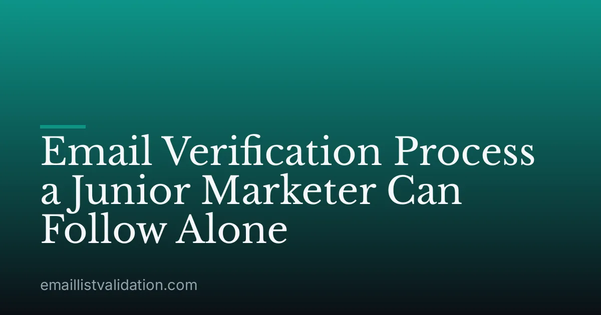 Email Verification Process a Junior Marketer Can Follow Alone
