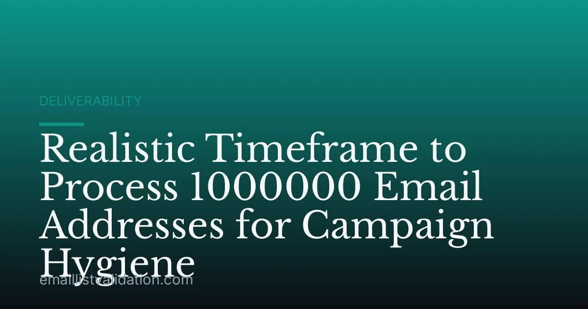 Realistic Timeframe to Process 1000000 Email Addresses for Campaign Hygiene