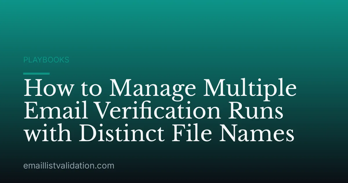 How to Manage Multiple Email Verification Runs with Distinct File Names