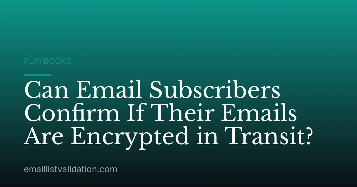 Can Email Subscribers Confirm If Their Emails Are Encrypted in Transit?