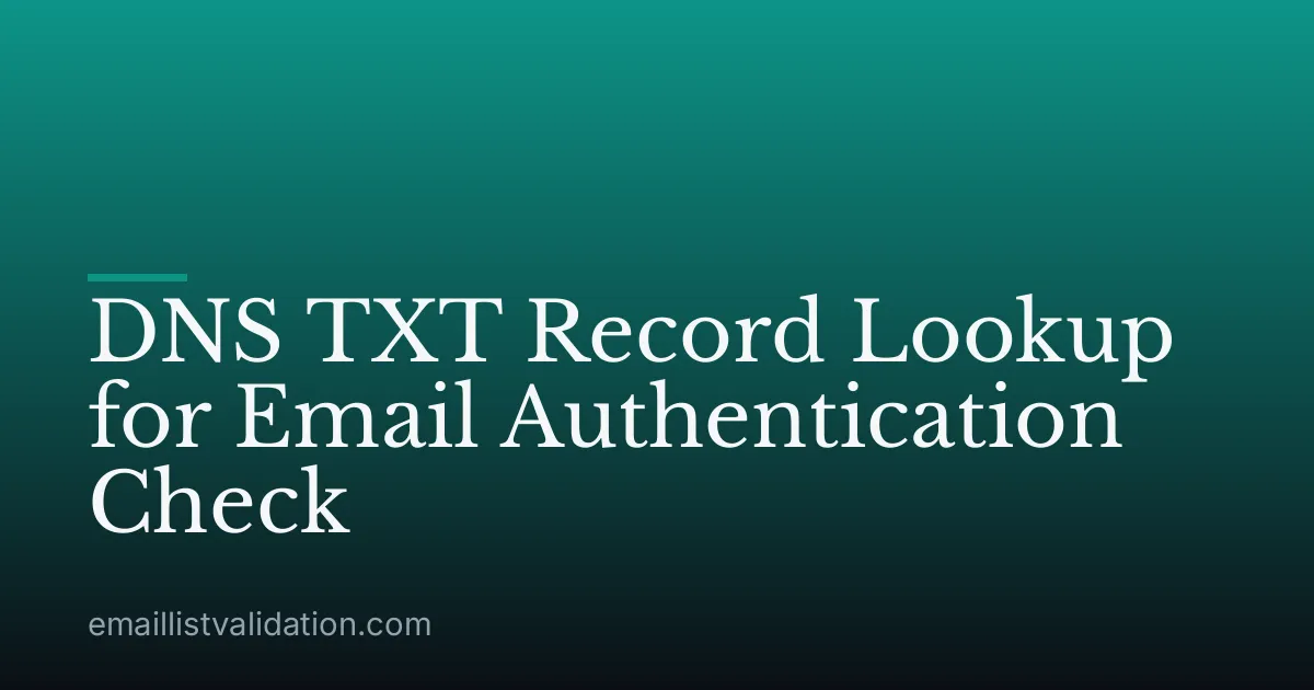 DNS TXT Record Lookup for Email Authentication Check