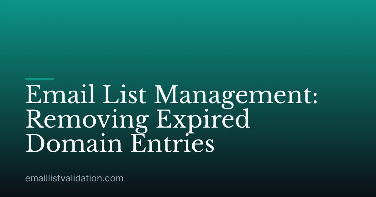 Email List Management: Removing Expired Domain Entries