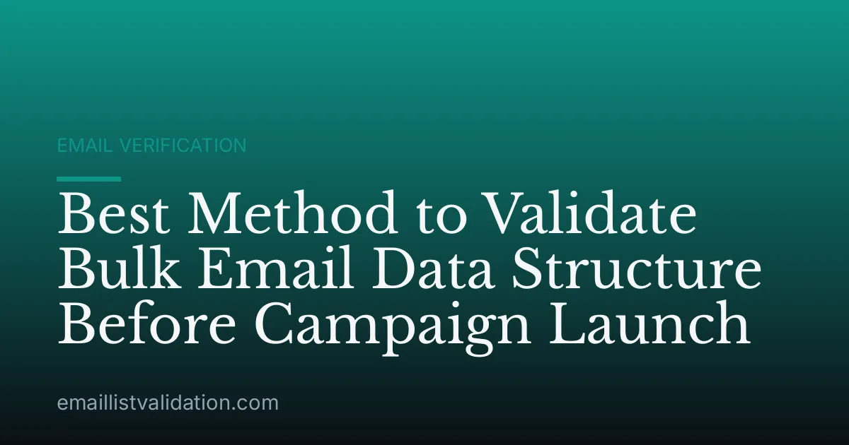 Best Method to Validate Bulk Email Data Structure Before Campaign Launch