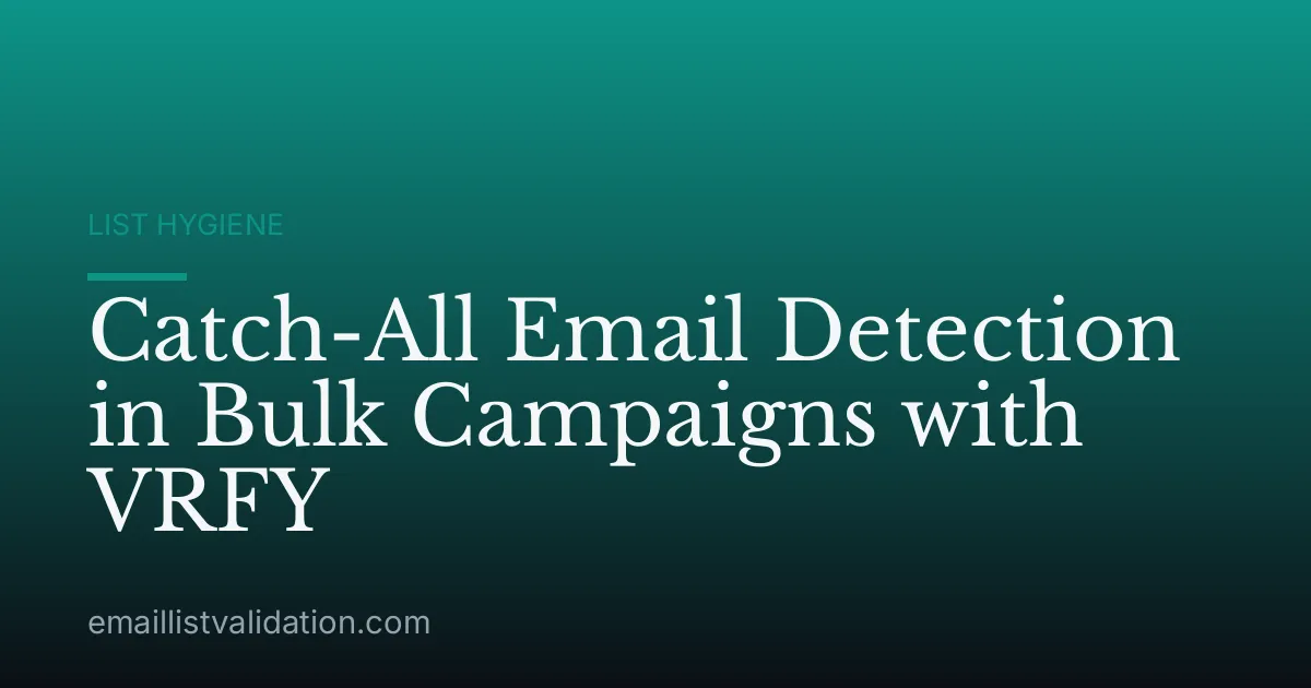Catch-All Email Detection in Bulk Campaigns with VRFY