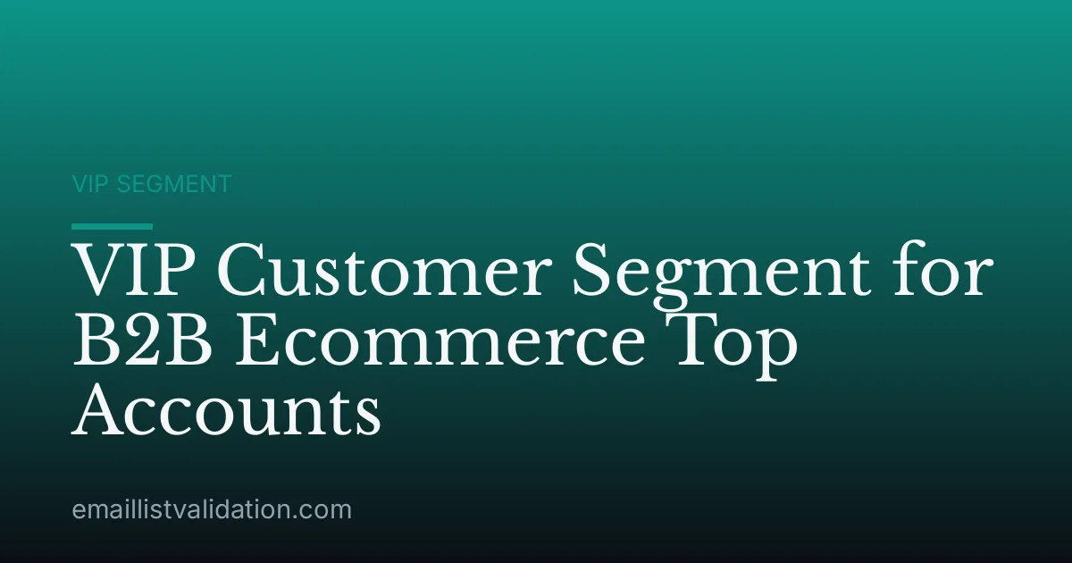 VIP Customer Segment for B2B Ecommerce Top Accounts