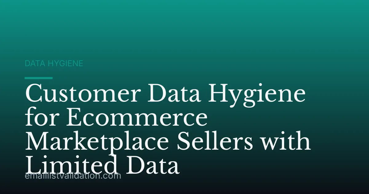 Customer Data Hygiene for Ecommerce Marketplace Sellers with Limited Data