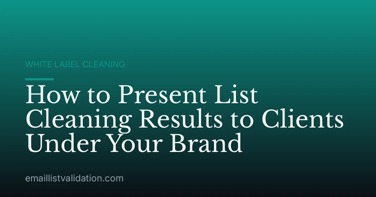 How to Present List Cleaning Results to Clients Under Your Brand
