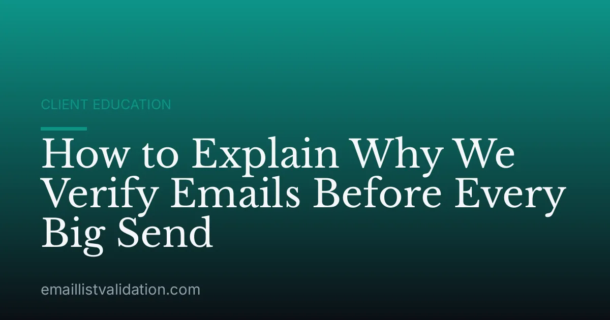 How to Explain Why We Verify Emails Before Every Big Send