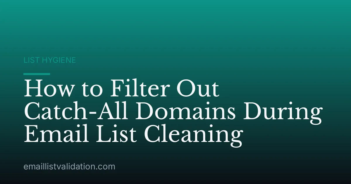 How to Filter Out Catch-All Domains During Email List Cleaning