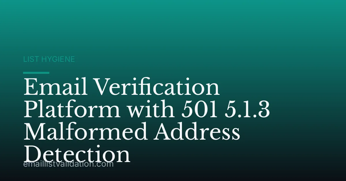 Email Verification Platform with 501 5.1.3 Malformed Address Detection