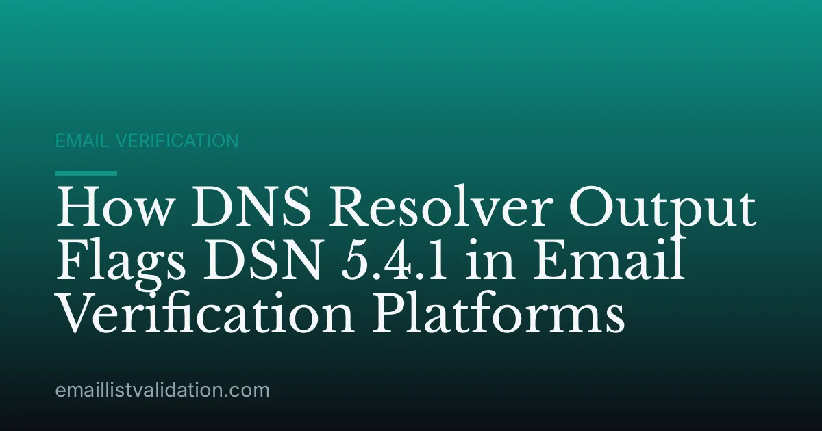 How DNS Resolver Output Flags DSN 5.4.1 in Email Verification Platforms