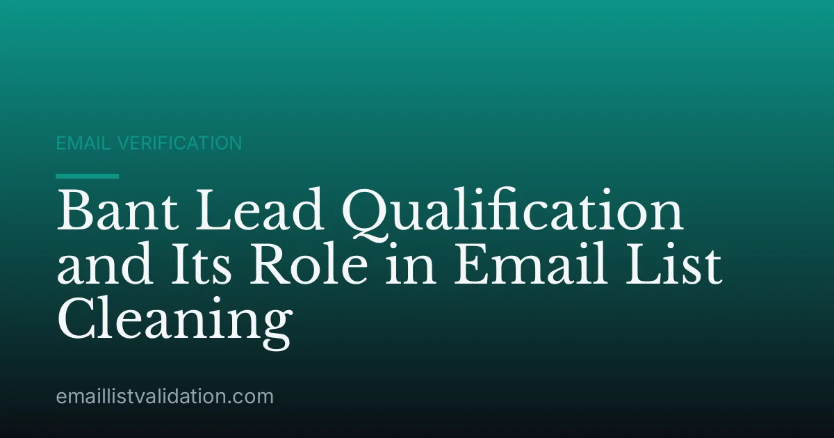 Bant Lead Qualification and Its Role in Email List Cleaning