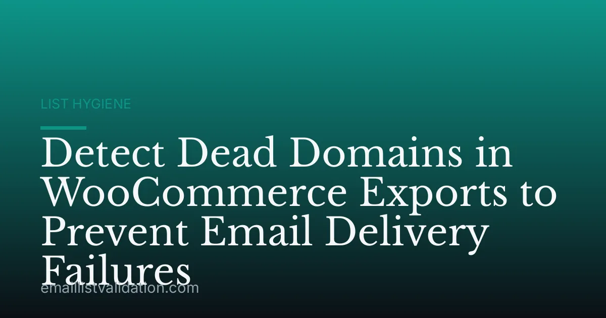 Detect Dead Domains in WooCommerce Exports to Prevent Email Delivery Failures