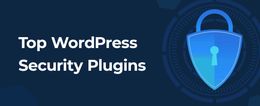 Enhancing Your WordPress Website's Security and User Trust with Email Verification Plugins