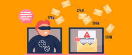 Unmasking the Threat: Understanding and Combating Spoof Email Verification