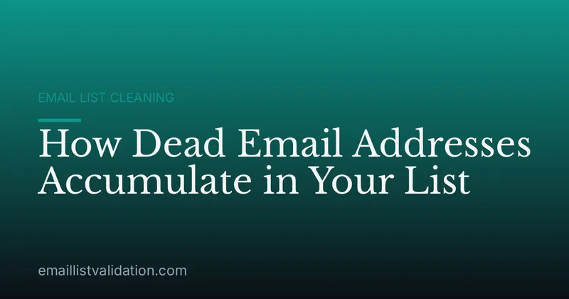 How Dead Email Addresses Accumulate in Your List