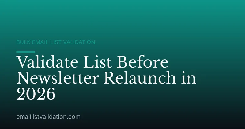 Validate List Before Newsletter Relaunch in 2026