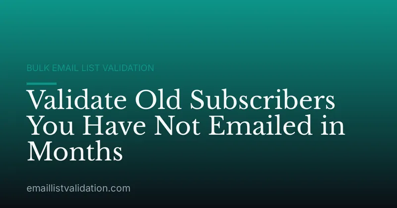 Validate Old Subscribers You Have Not Emailed in Months