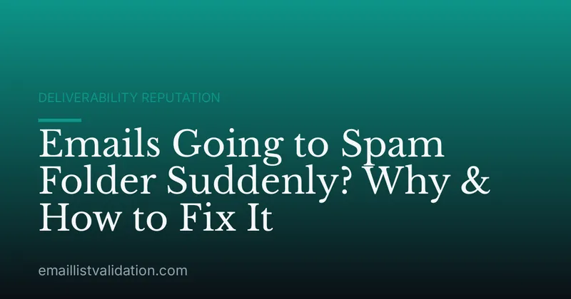 Emails Going to Spam Folder Suddenly? Why & How to Fix It
