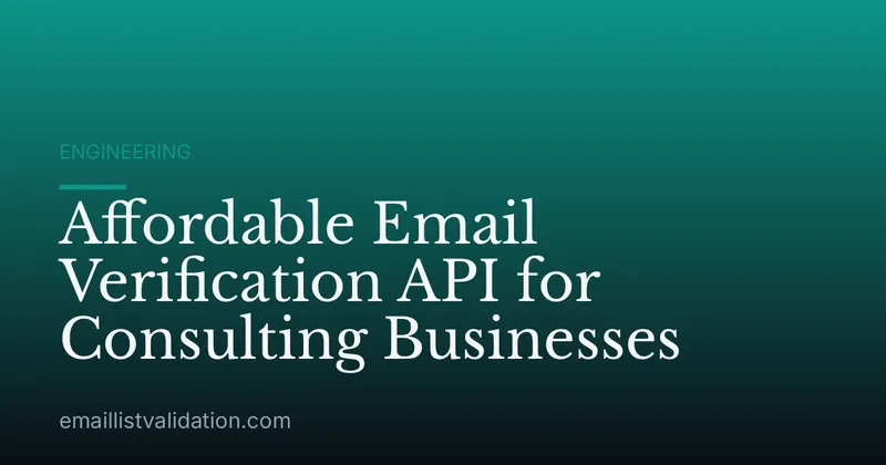 Affordable Email Verification API for Consulting Businesses
