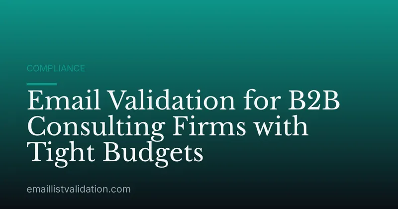 Email Validation for B2B Consulting Firms with Tight Budgets