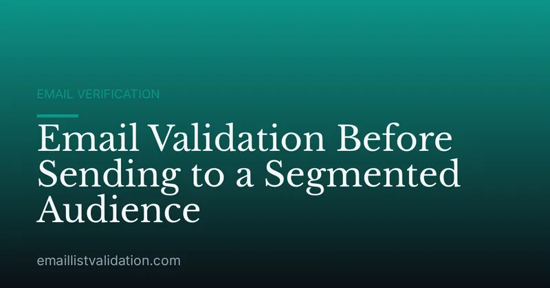 Email Validation Before Sending to a Segmented Audience