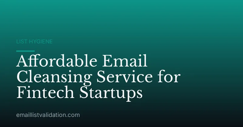 Affordable Email Cleansing Service for Fintech Startups