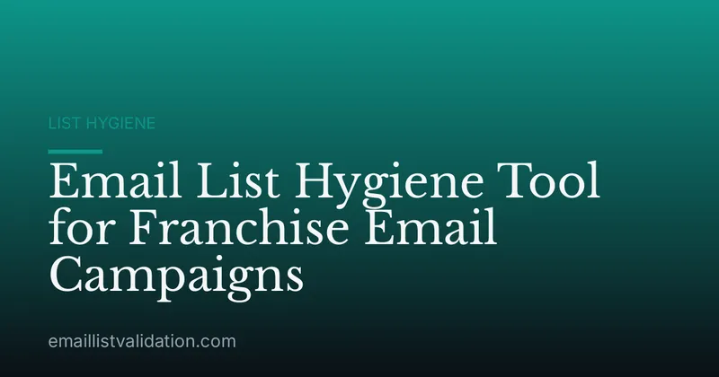 Email List Hygiene Tool for Franchise Email Campaigns