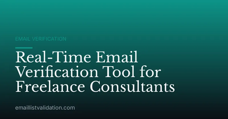 Real-Time Email Verification Tool for Freelance Consultants