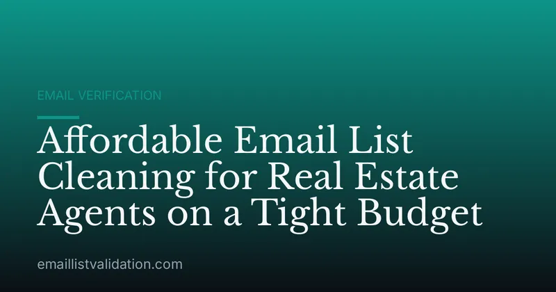 Affordable Email List Cleaning for Real Estate Agents on a Tight Budget