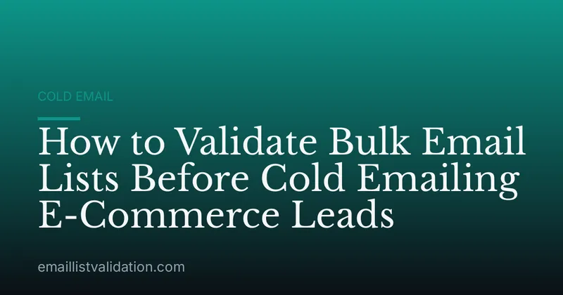 How to Validate Bulk Email Lists Before Cold Emailing E-Commerce Leads