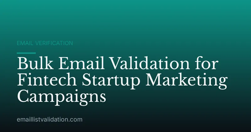 Bulk Email Validation for Fintech Startup Marketing Campaigns