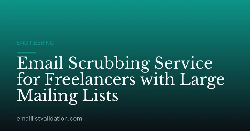 Email Scrubbing Service for Freelancers with Large Mailing Lists