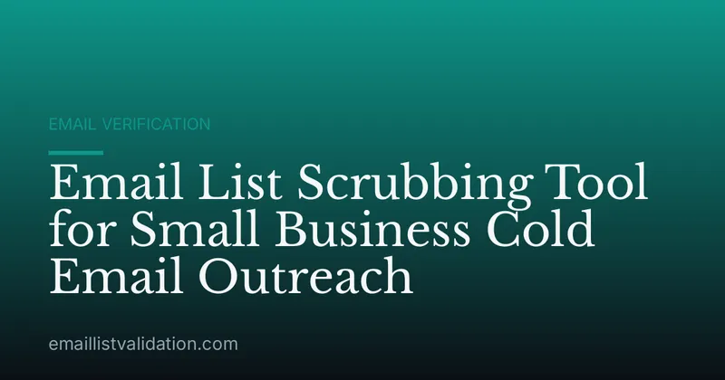 Email List Scrubbing Tool for Small Business Cold Email Outreach