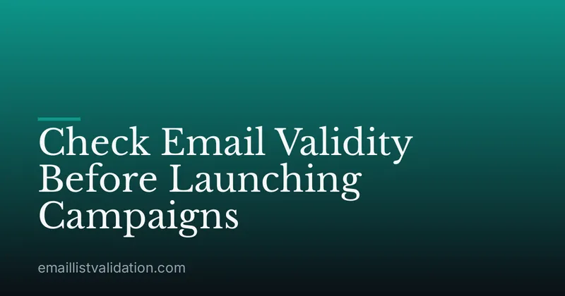 Check Email Validity Before Launching Campaigns