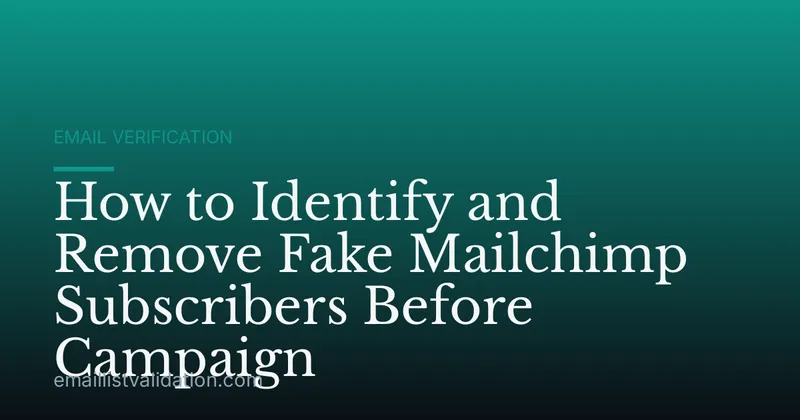 How to Identify and Remove Fake Mailchimp Subscribers Before Campaign