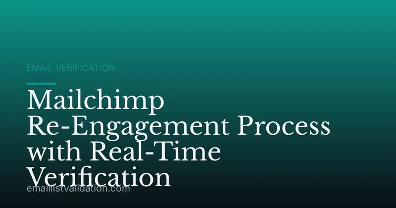 Mailchimp Re-Engagement Process with Real-Time Verification